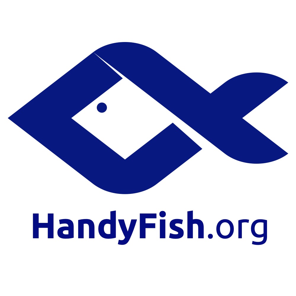 HandyFish Etkinlik Yonetim ve Danismanlik Hizmetleri Ticaret Ltd.Sti.