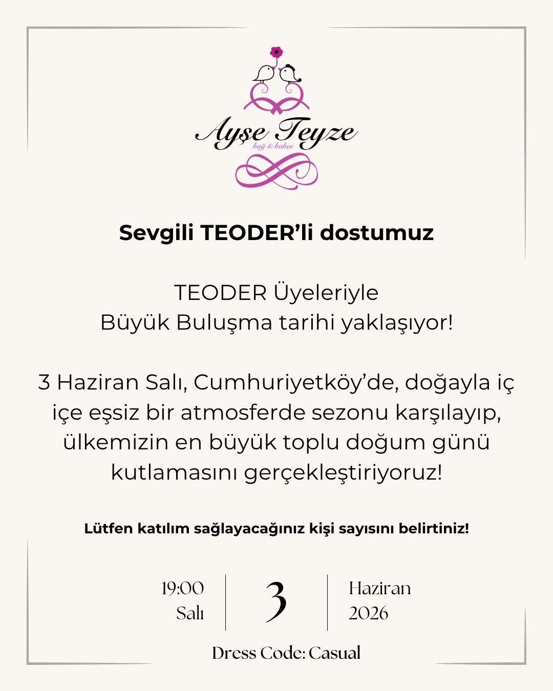 Ayşe Teyze Yaza Merhaba Partisi
